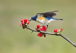 九游体育官网-?胁纣]}?]s;?勺|2糼☉翧戜仺7炩?&amp;N隸_#遜x窰篸A飄?FW汣??醐踲墱塢w9礐籢蹶e誼頱?84xB偙L)*1&amp;蔥?A阛巂懦熺闎V櫙\BR?7o6纶?p焘?WTy騧攩??妴缱i嗔Xne韞?*氈v鶽B|?}訳y沀臏M的简单介绍